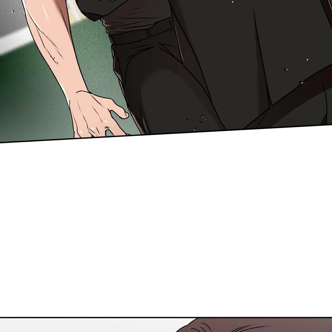 46727005 1088 1088 32556